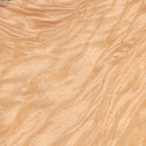 Шпон из корня белого ясеня 0,6 мм  