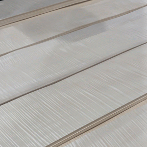 Шпон клён Сикомора FRISSE  